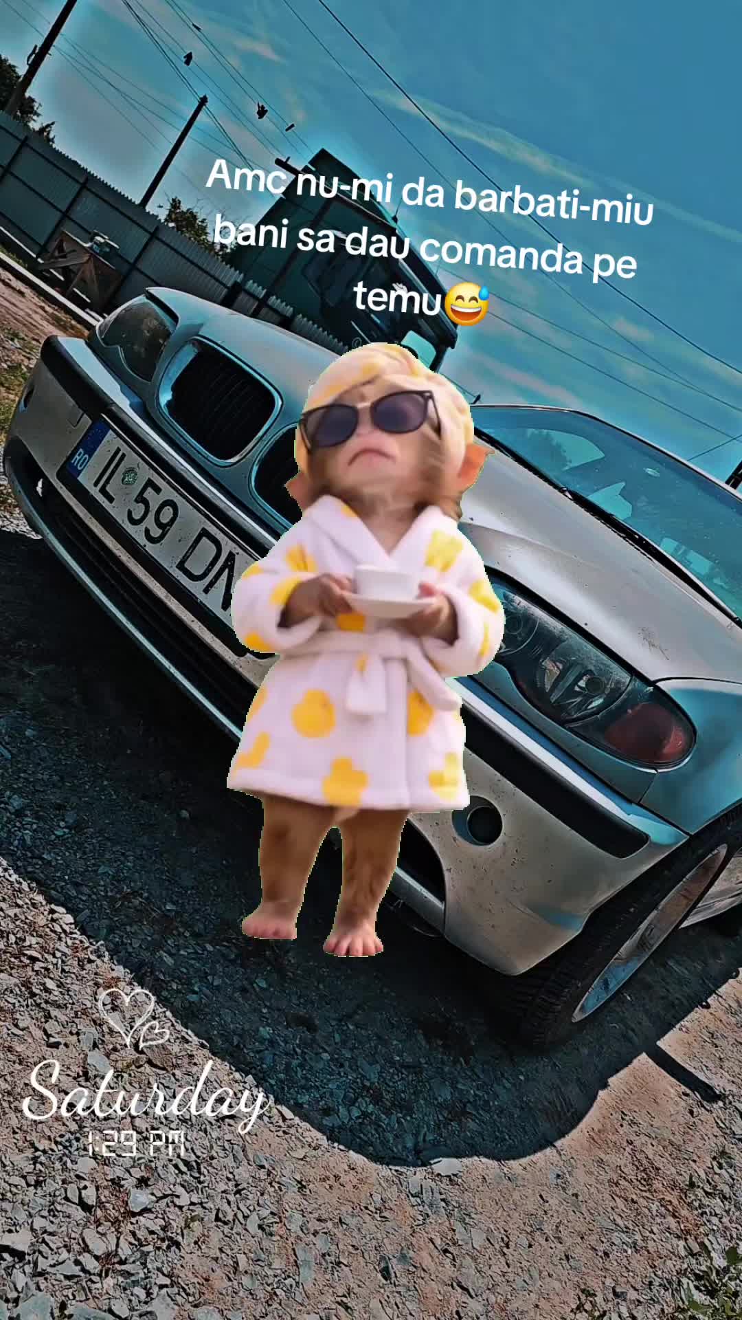 @👑Ionelanedelcu18👑