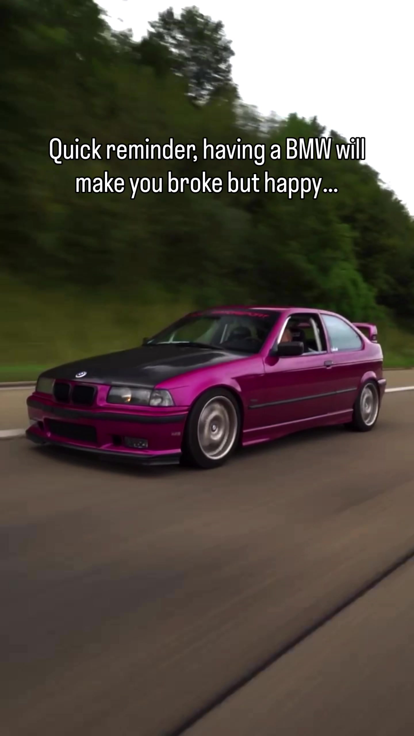 @gina.schnittke