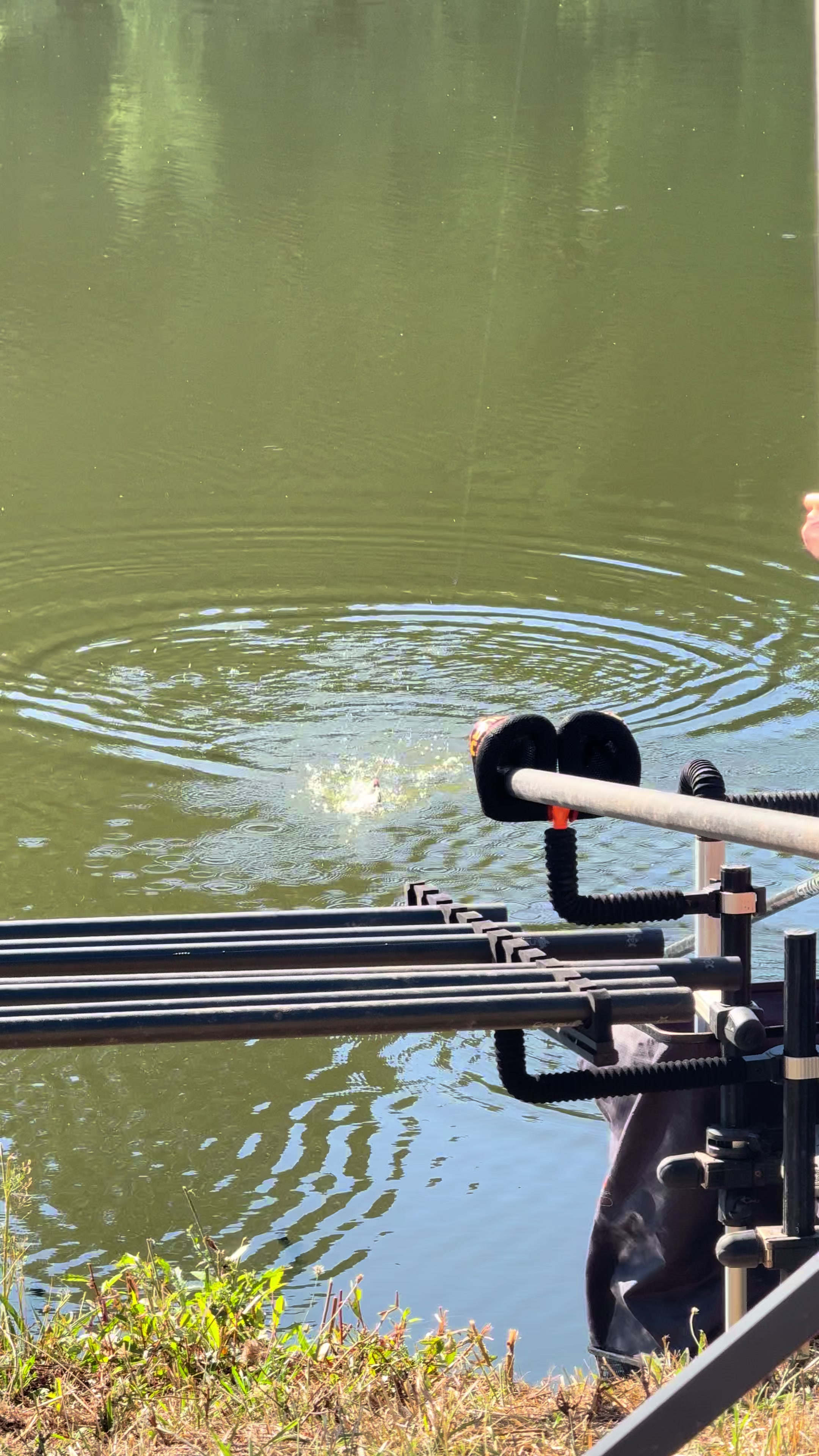 @Tackle Guru