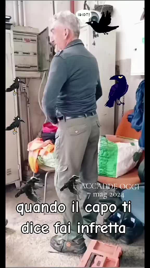 @eldoppiator