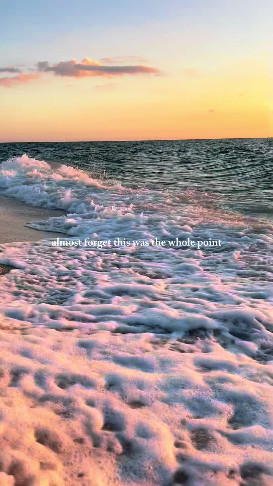 @Sarasota Local Guide 🌊🏝️
