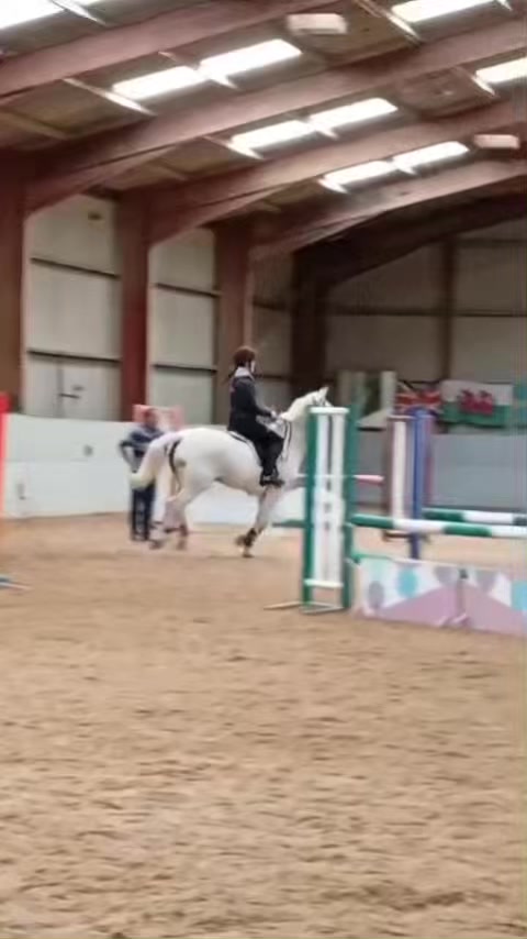 @amelia_showjumping2