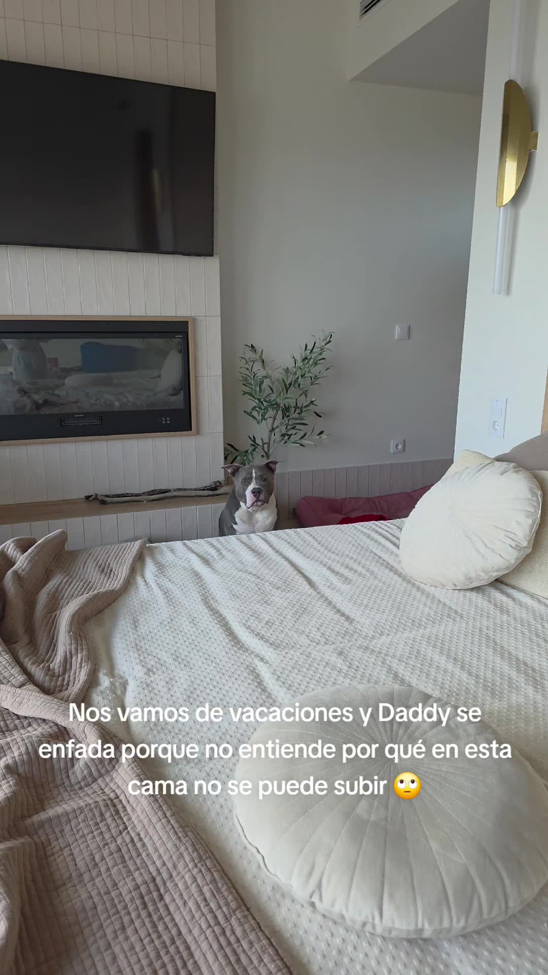 @Kenya y Daddy🐶