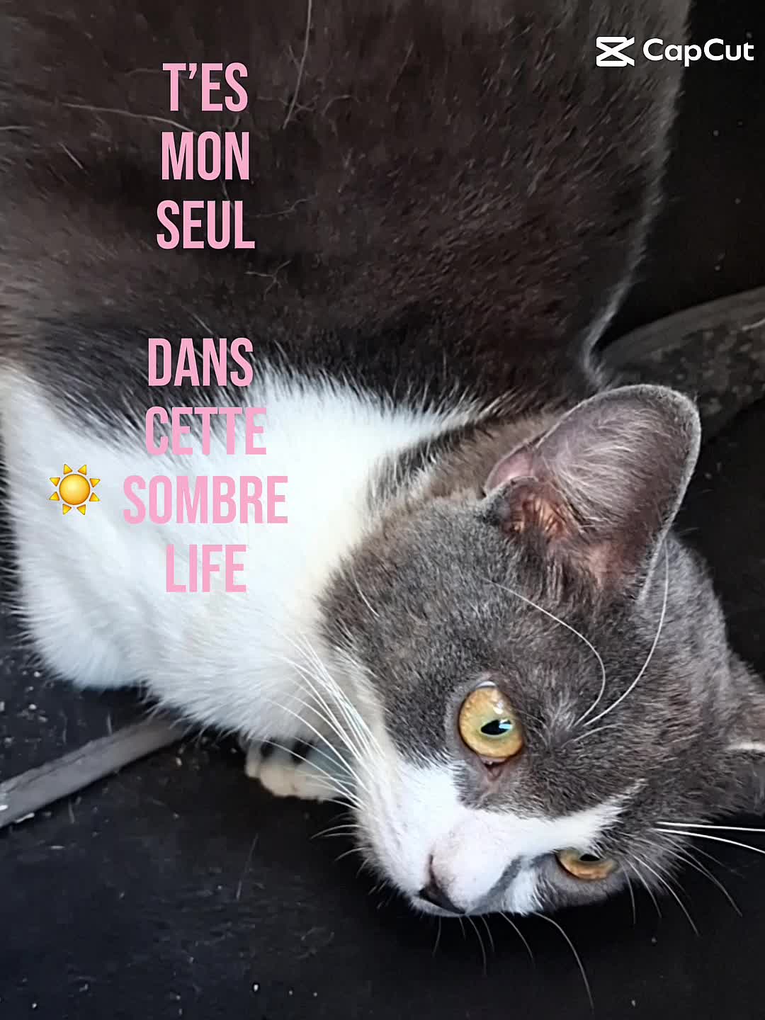 @𝑪𝒉𝒓𝒊𝒔𝒕 ✞