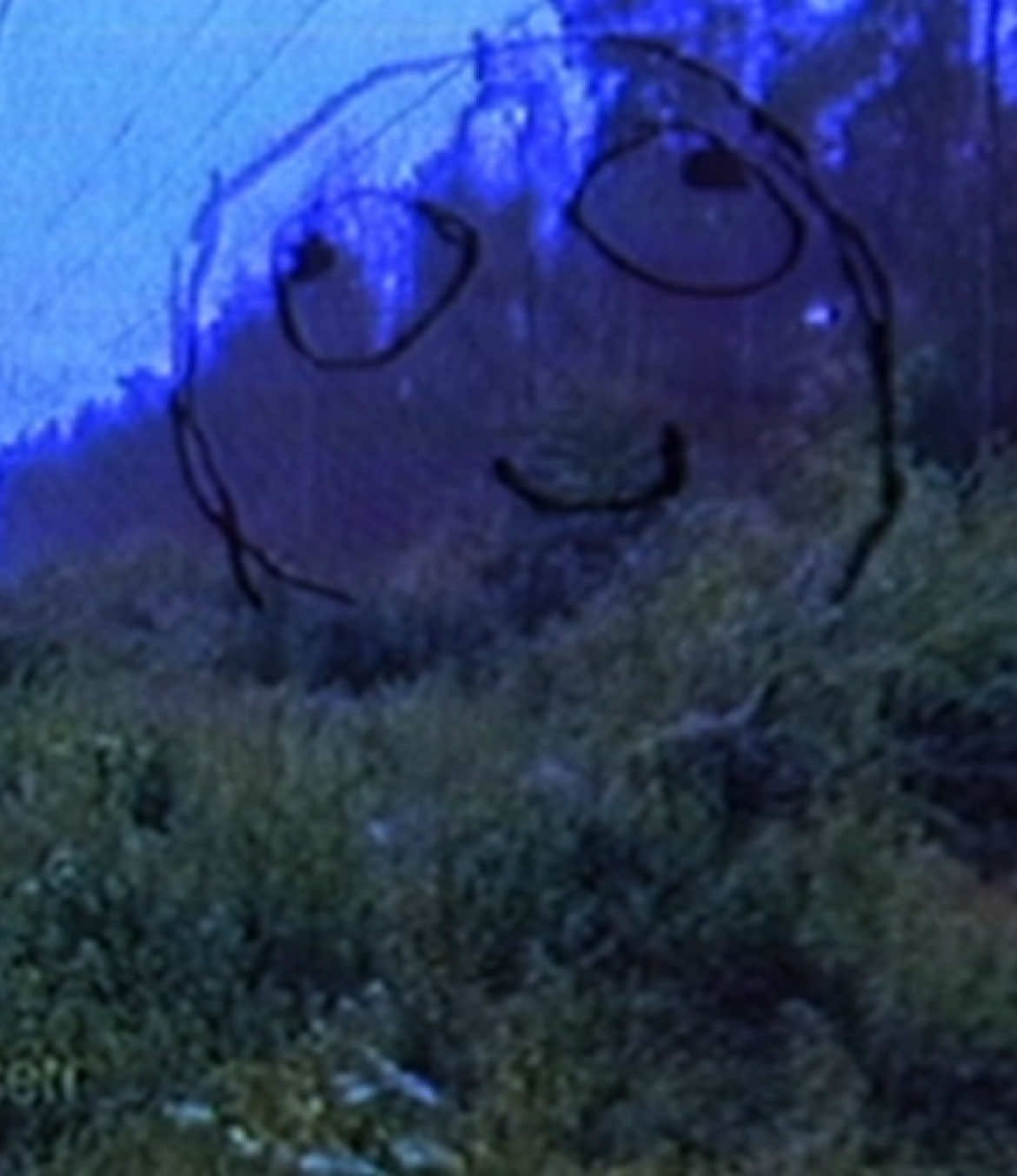@#wax[щп][🧪]
