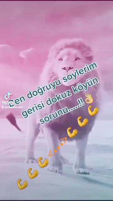 @🥷⚔️🤘👑🦁Aslan Kılıç🦁👑⚔️🥷