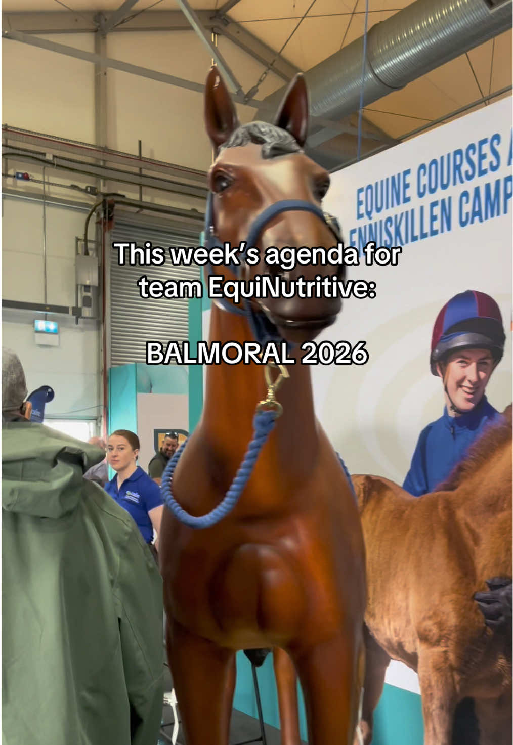 @Equinutritive 🐴 Supplements