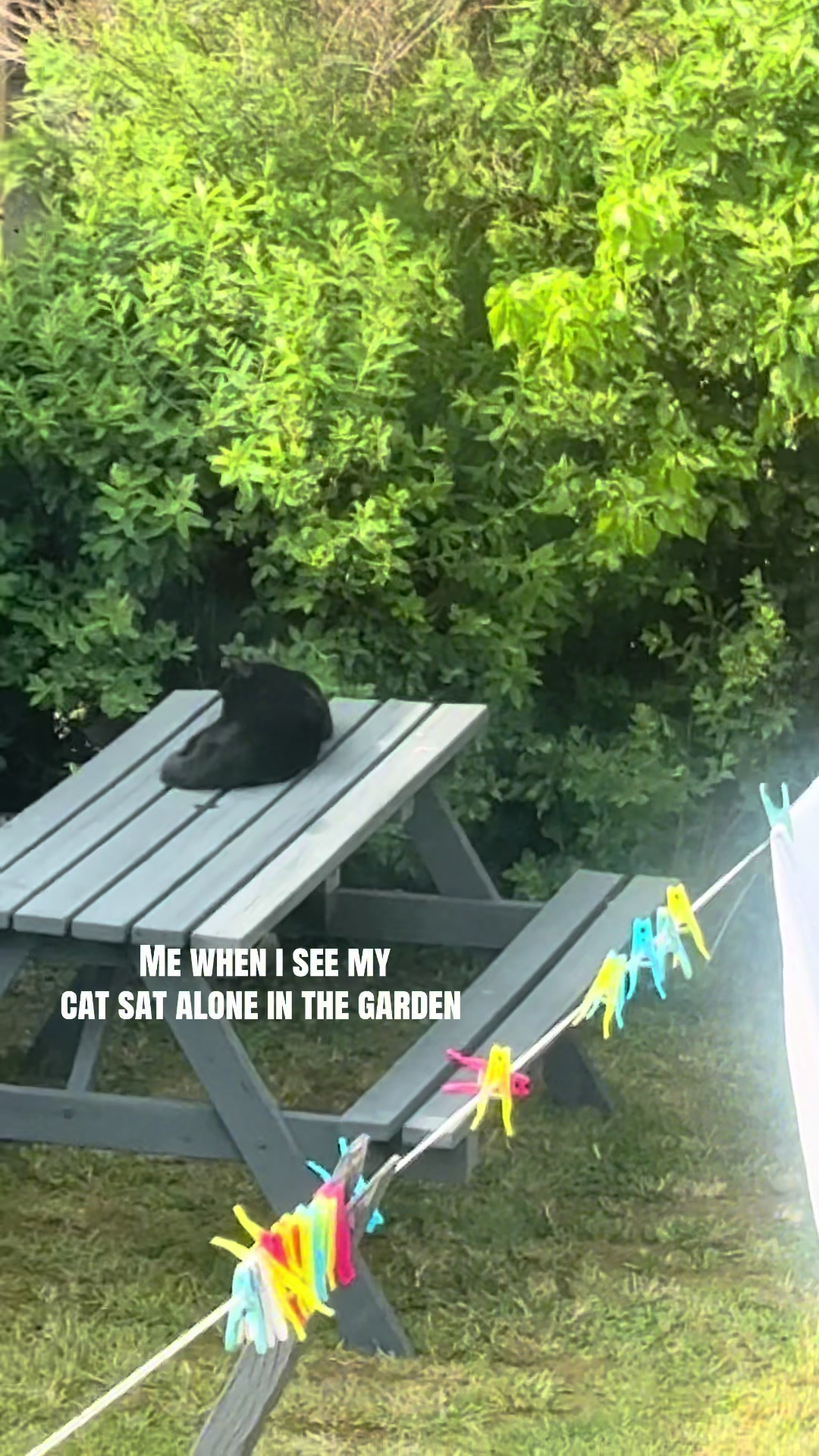 @lillia💗🦋🐵
