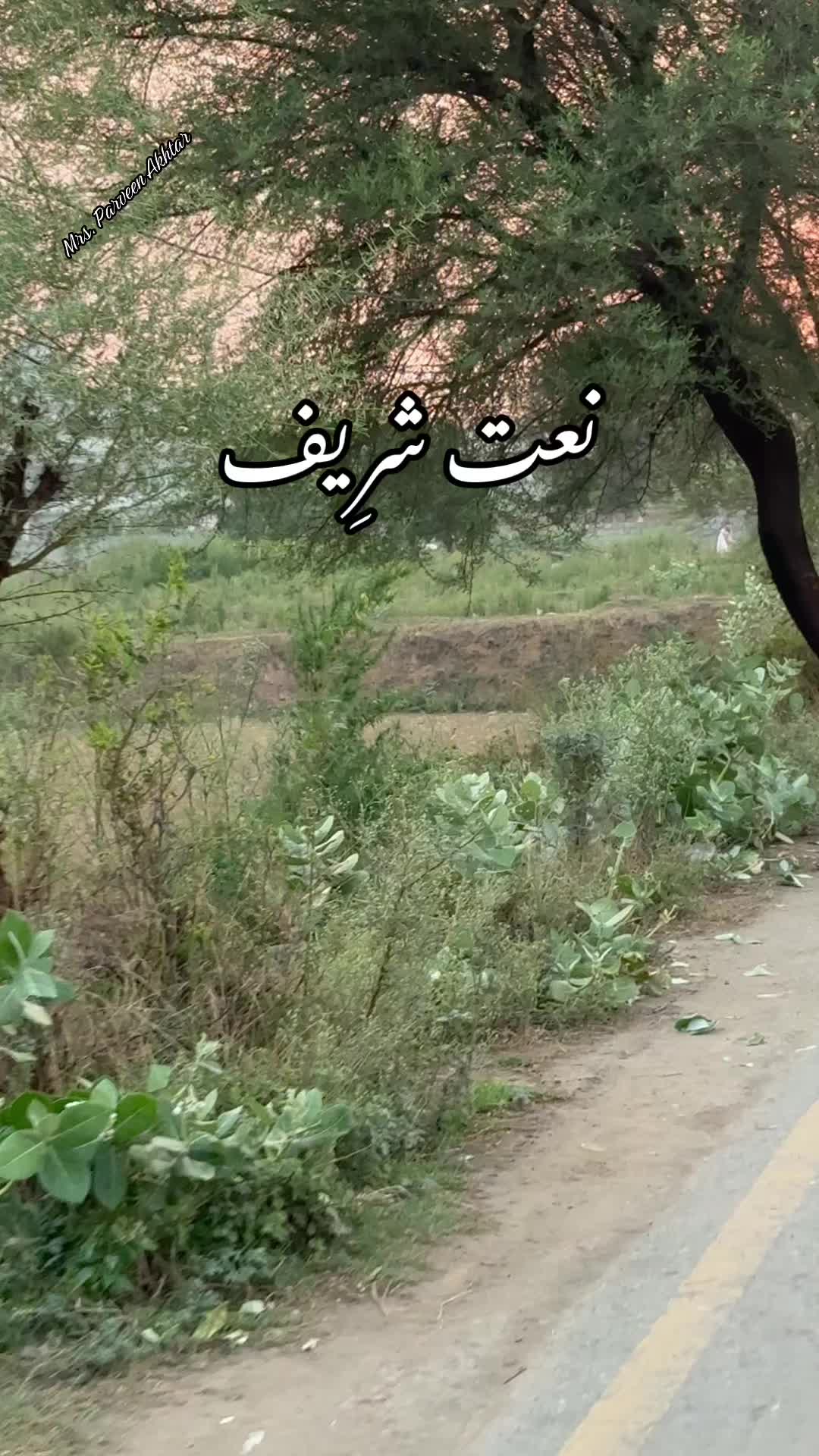 @Parveen Akhtar