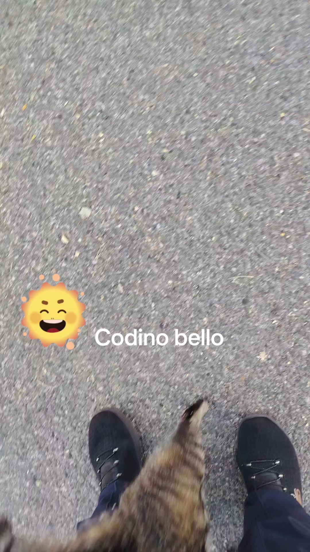 @ORIETTA