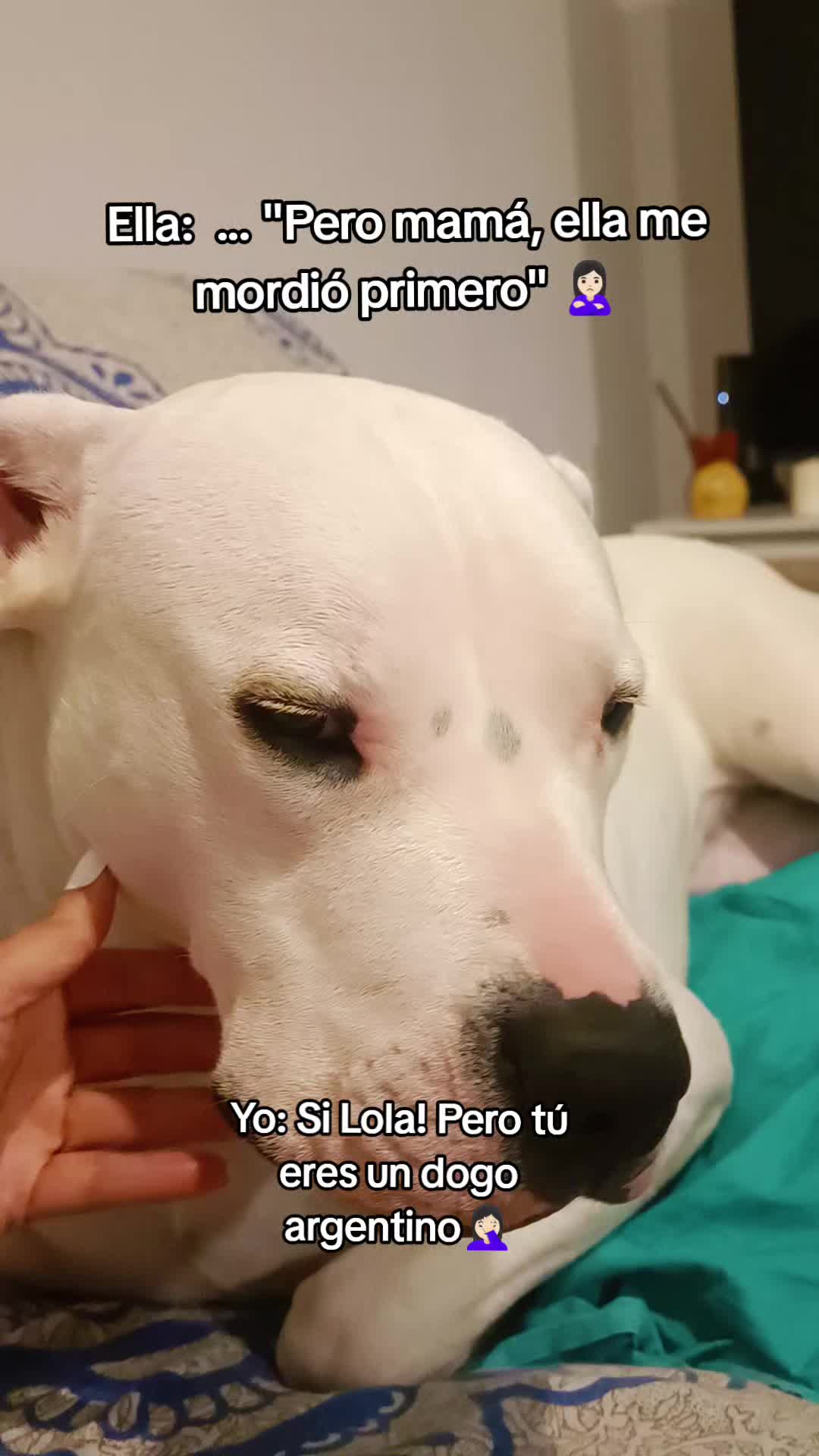 @Lola