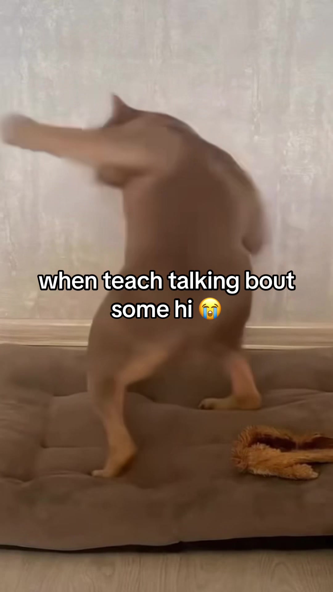 @Jayden 🪫