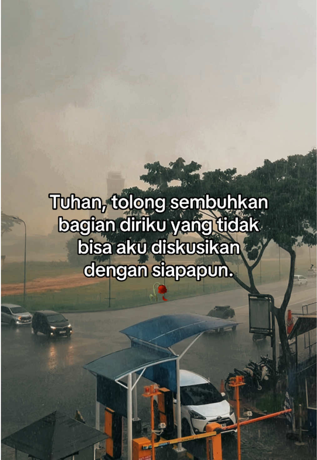 @SukaSukaSaia