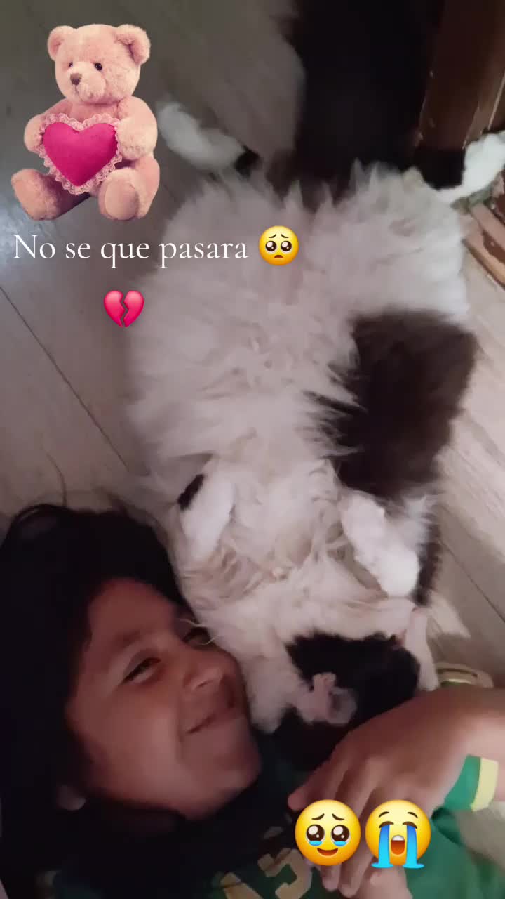 @Argelia Ramirez
