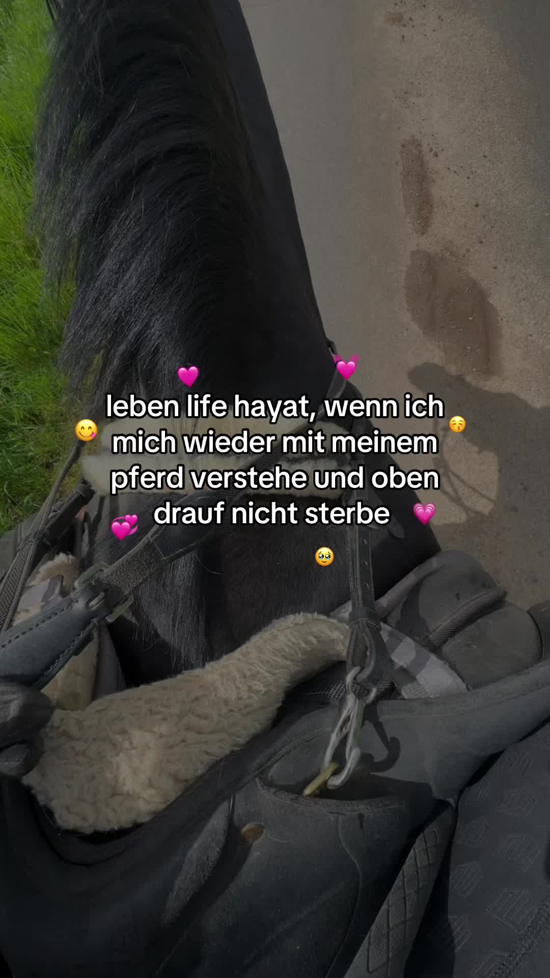 @ᴄʜᴀʀʟʏ✰