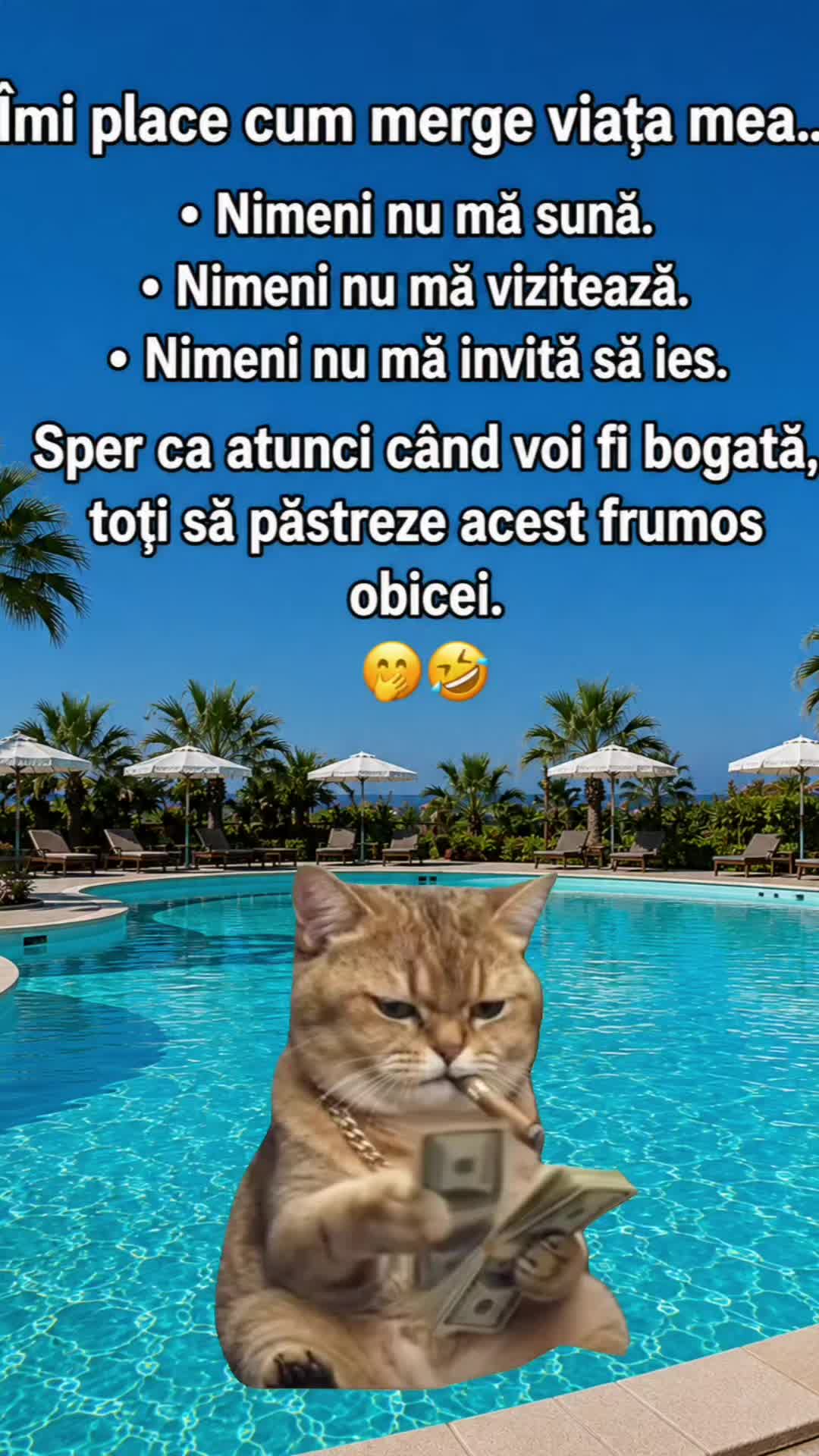 @ank_andreescu867
