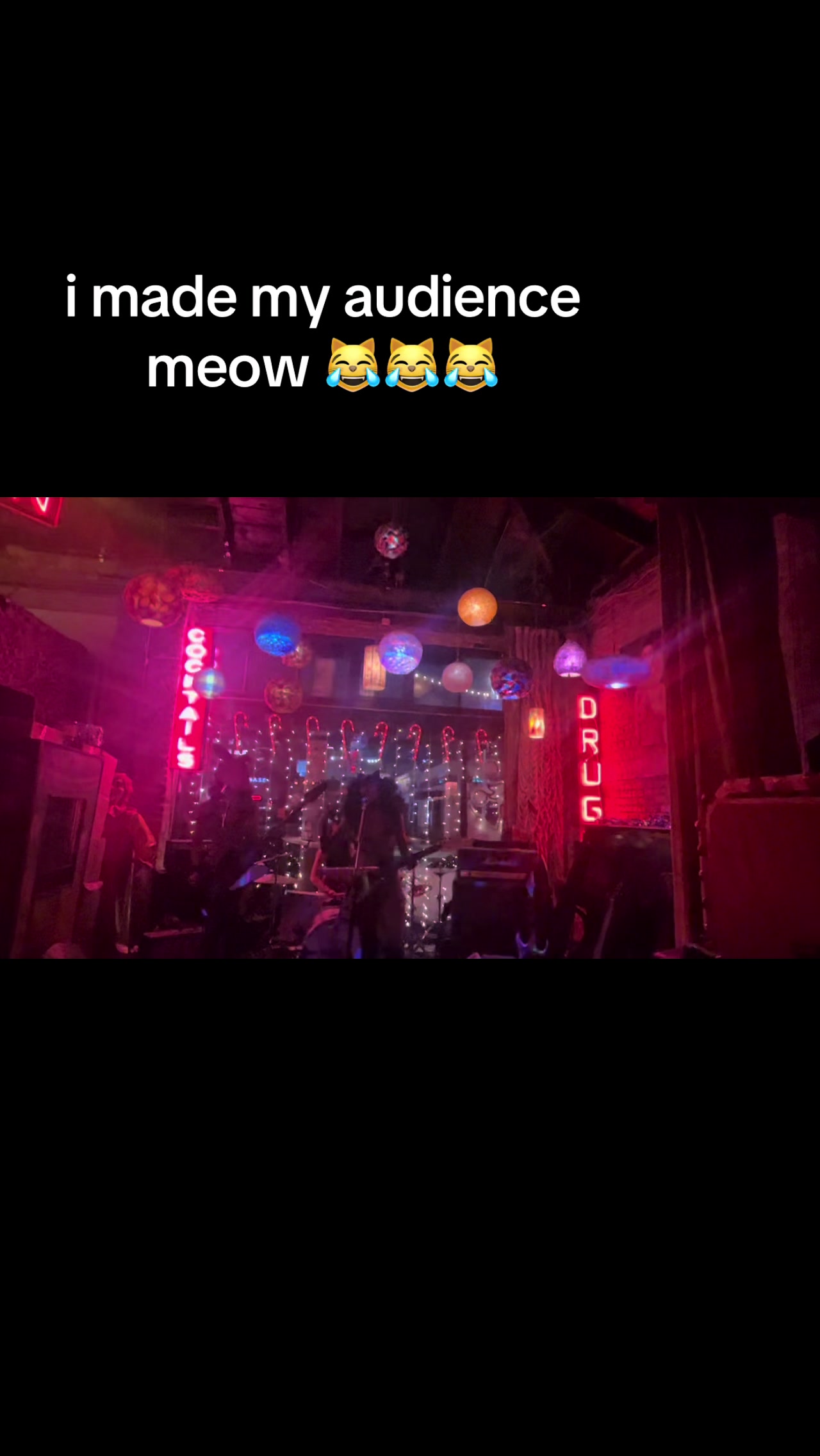 @kitty !