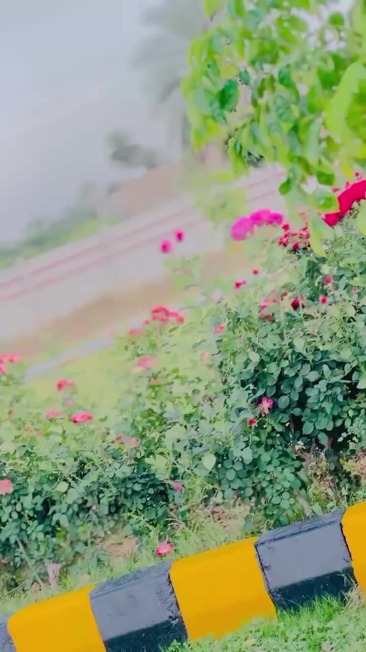 @Saad Panwar