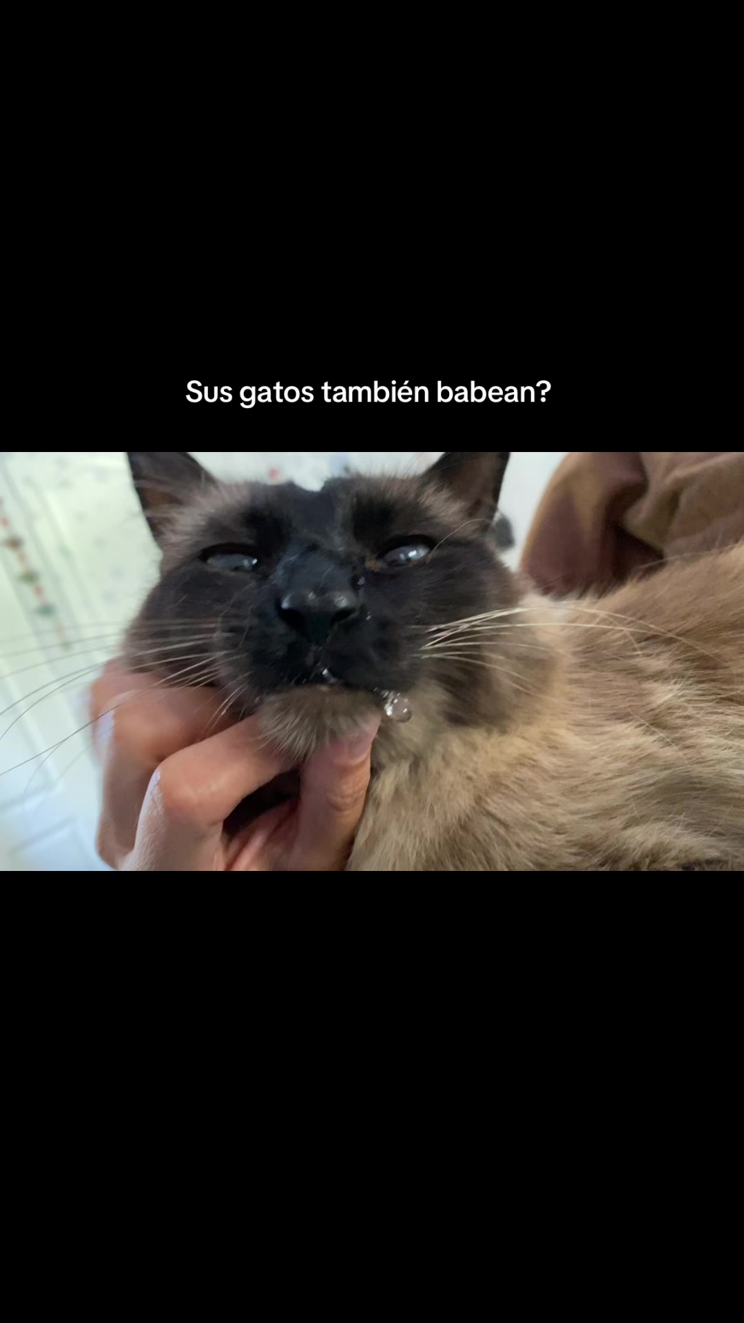 @Mariangeles