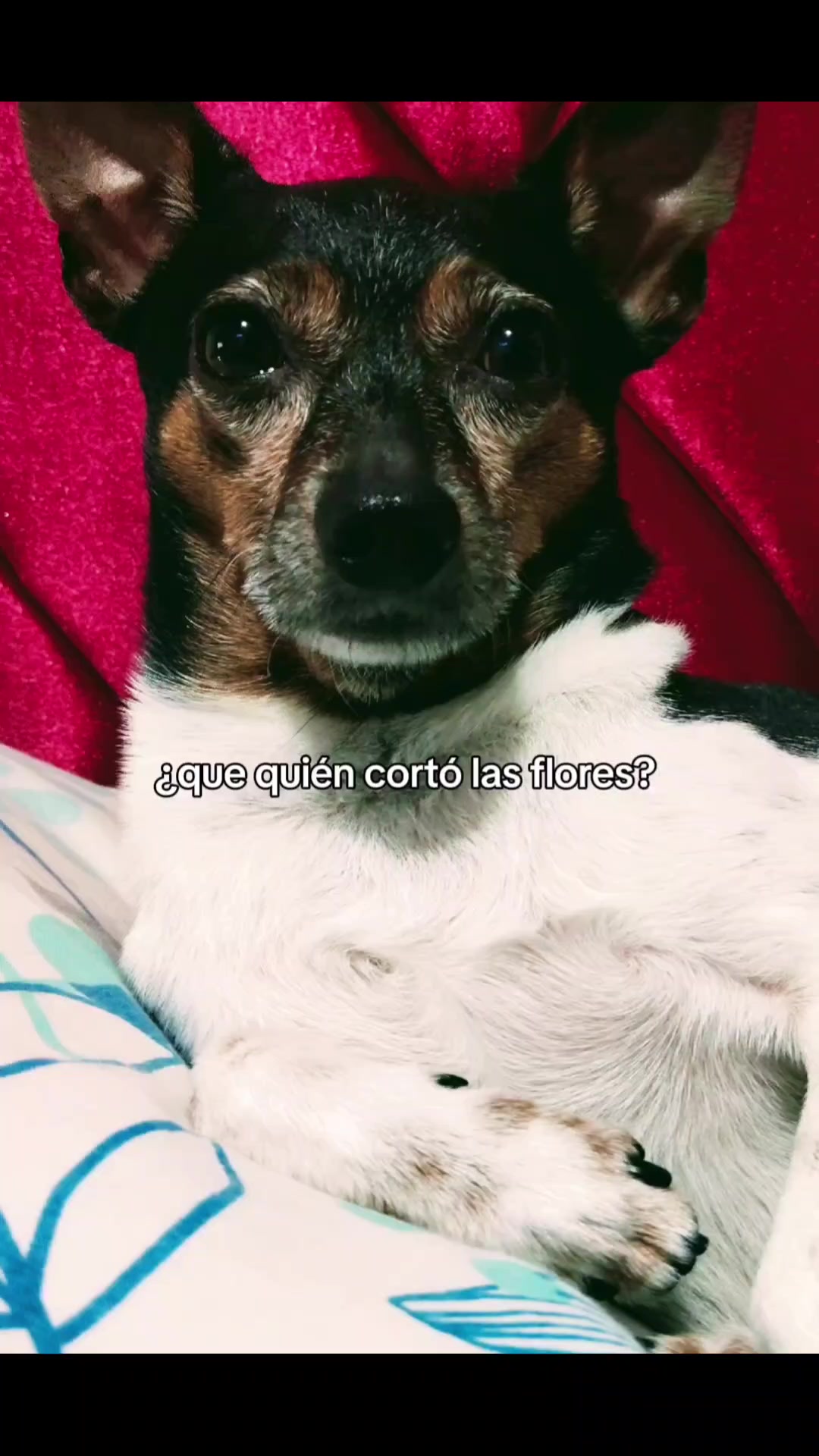 @⛈️