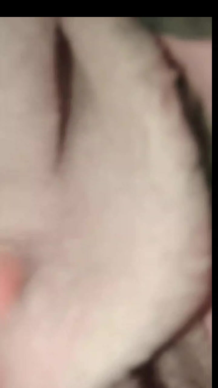 @TT | ★&bull;𝙻𝙴𝚁𝙰&bull;★