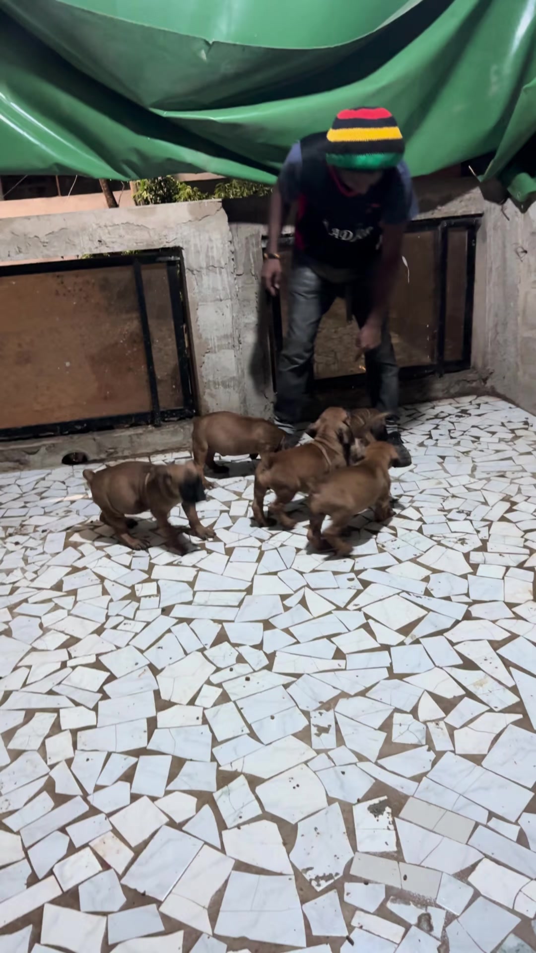 @Irie Boerboels Sn