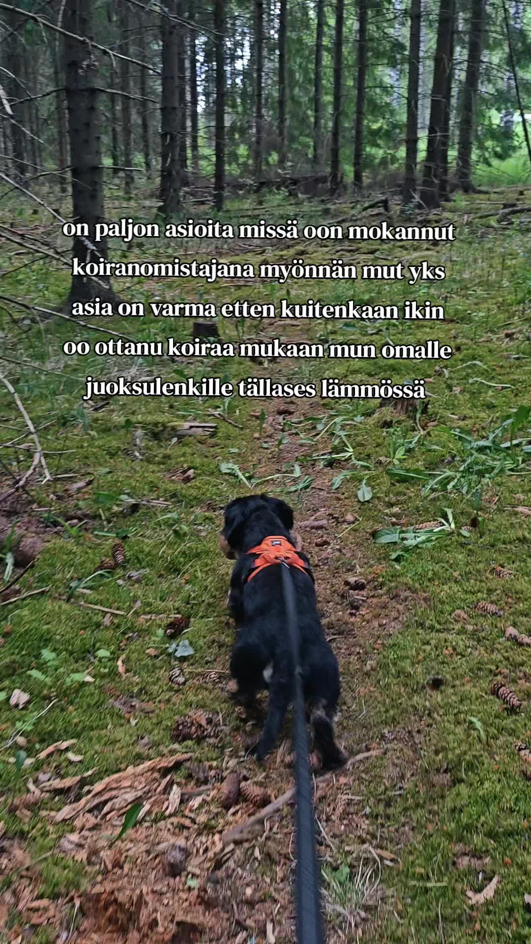 @Anna