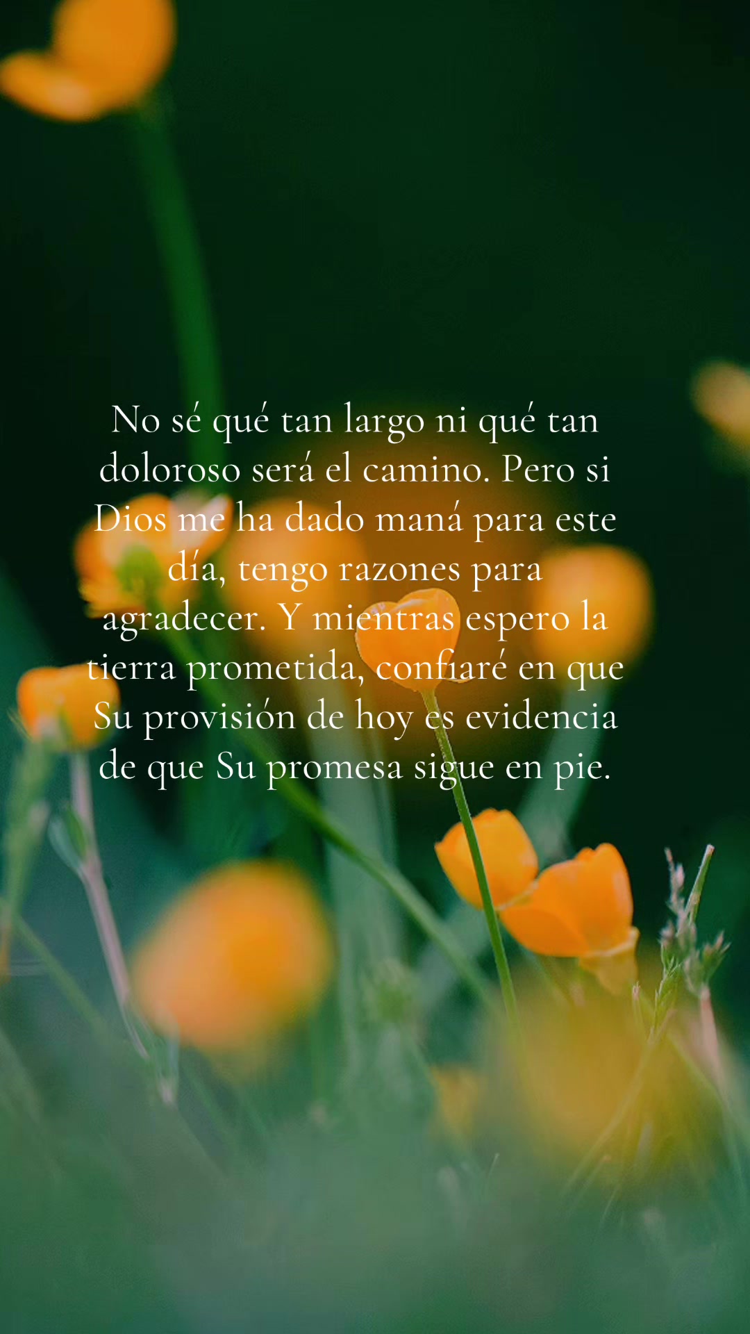 @SoyLaHermanaPaola