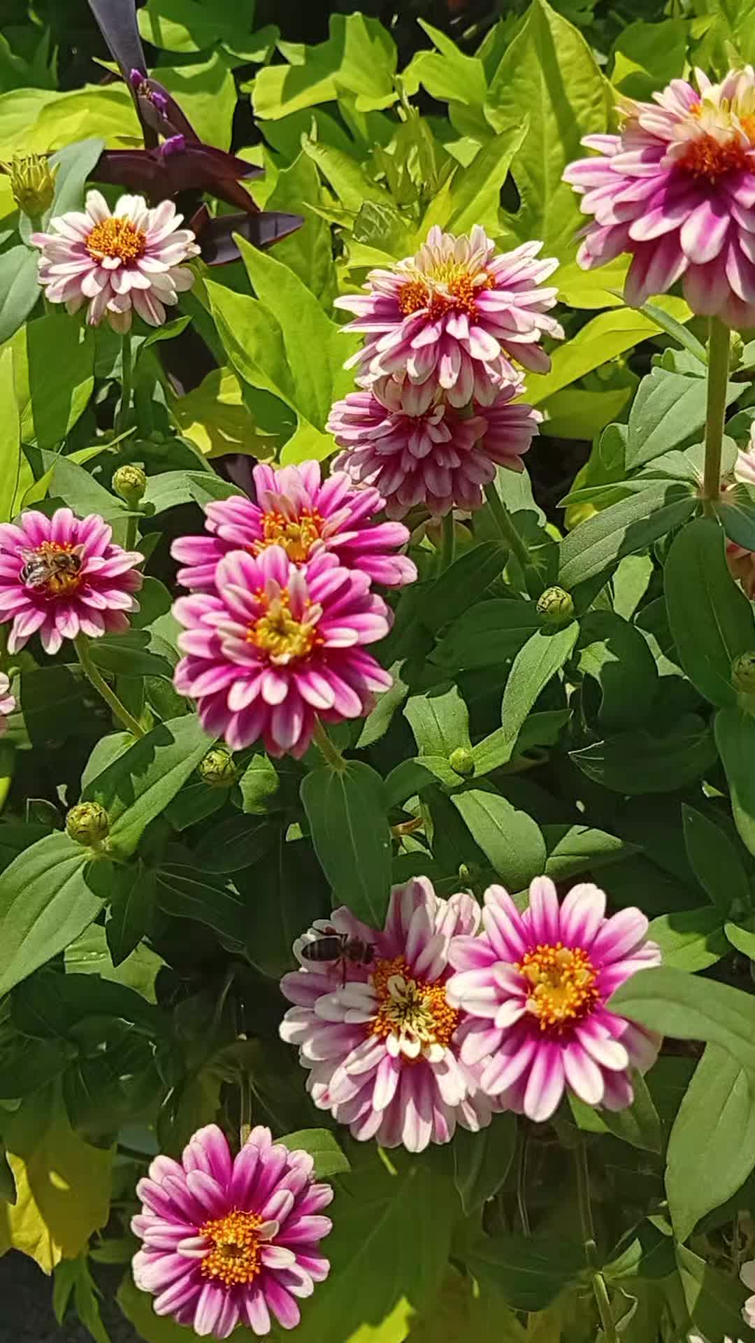 @𝘚𝘶𝘱𝘦𝘳 𝘗𝘩𝘪𝘯𝘰𝘶