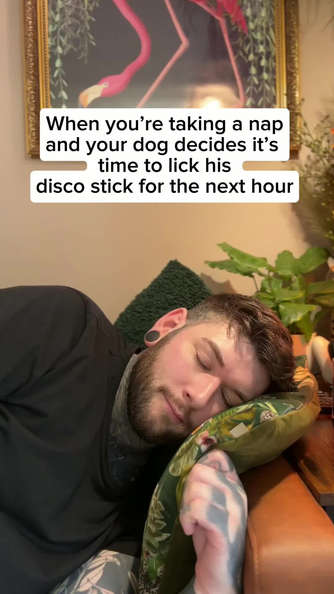 @ChilliThePug