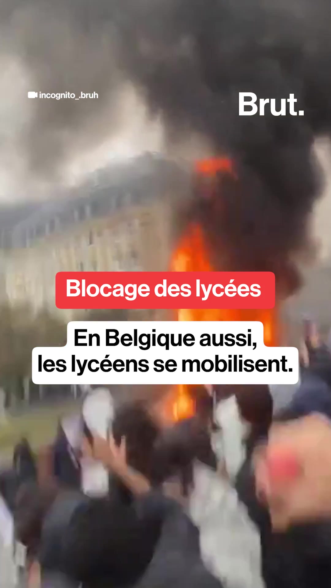 @Brut.