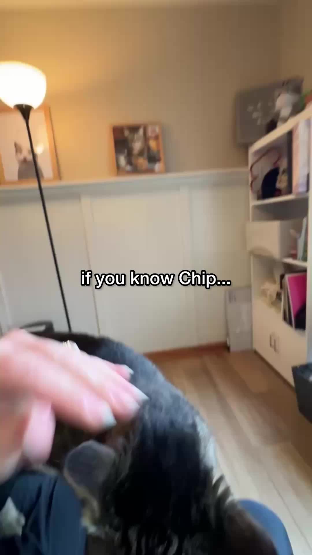 @Chip The Manx