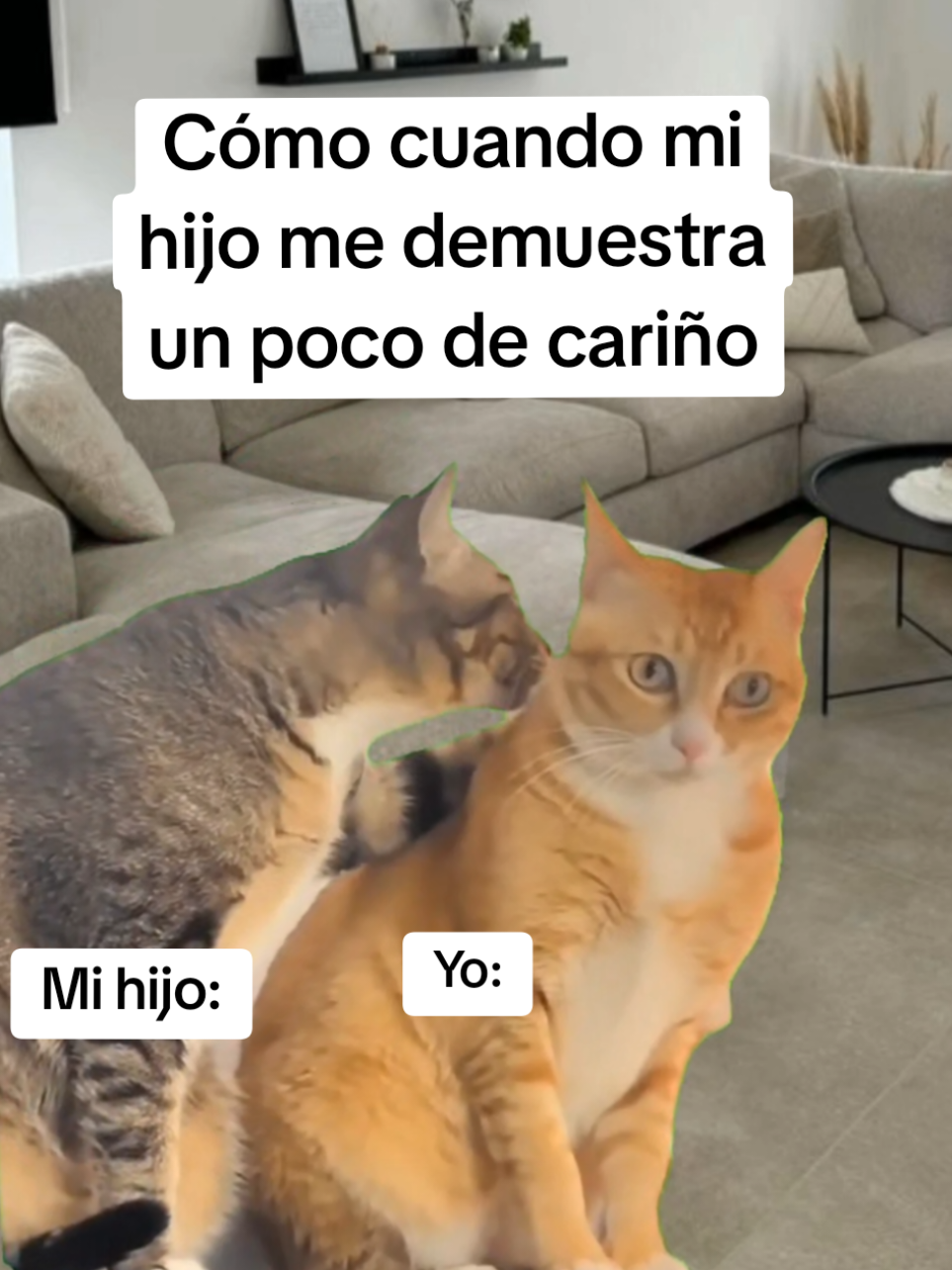 @𝐌𝐚𝐫𝐲
