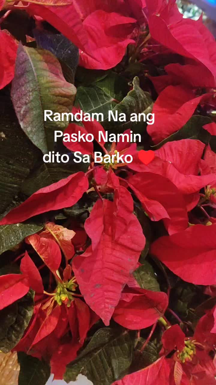 @RAM ⚓