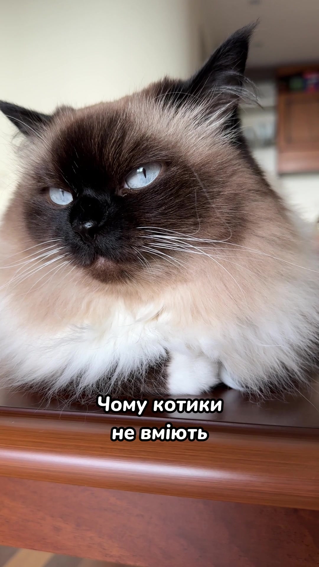 @Місс КІСЯ