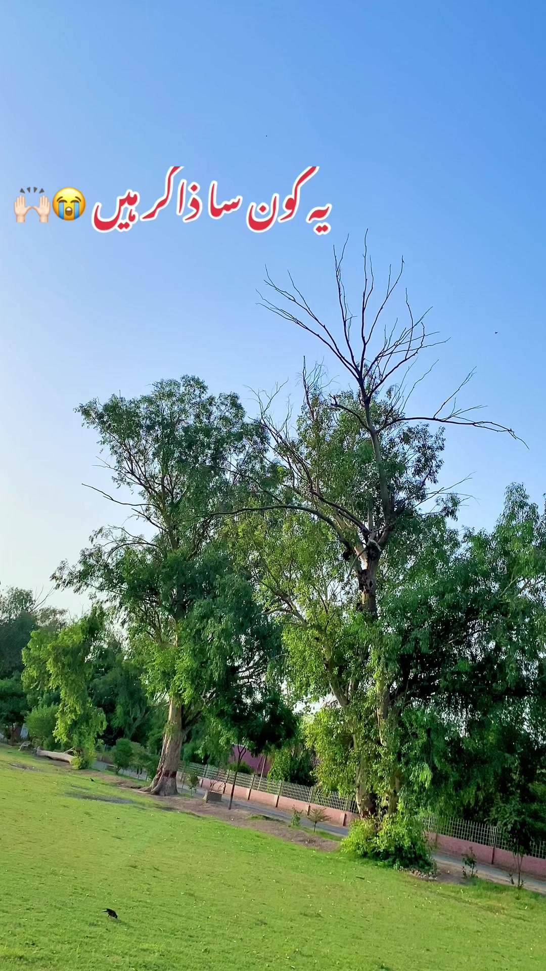 @وسیم شیرازی 🥂