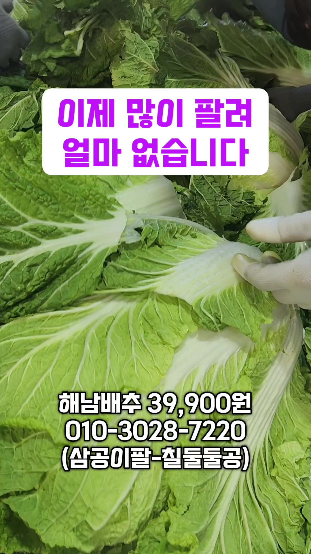@한입의행복