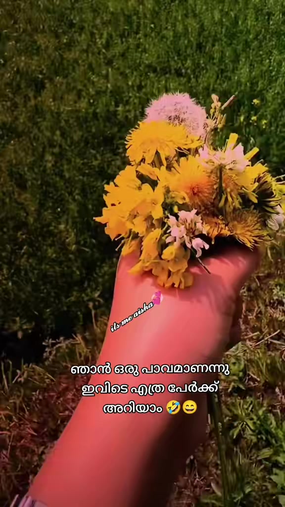 @𝖎𝖙𝖘 𝖒𝖊 𝖆𝖎𝖘𝖍𝖆🫰🏻