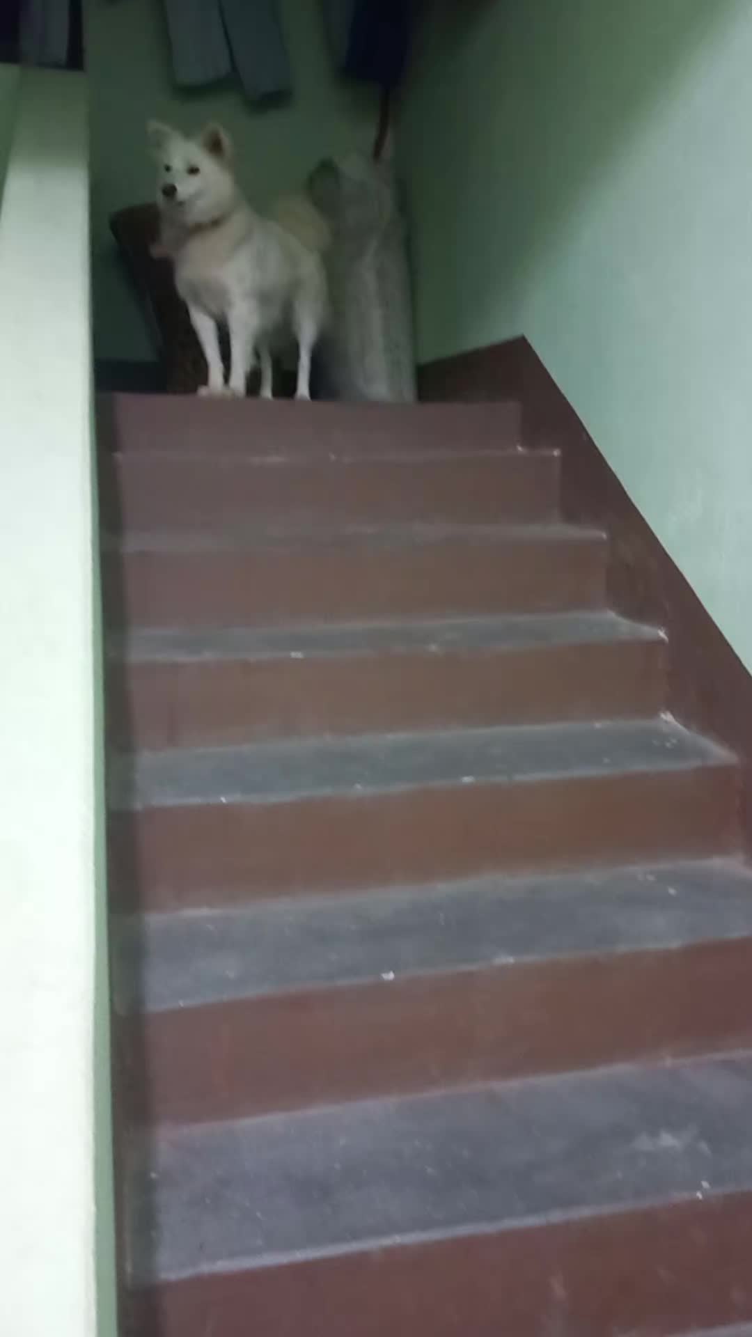 @KALAKAAR