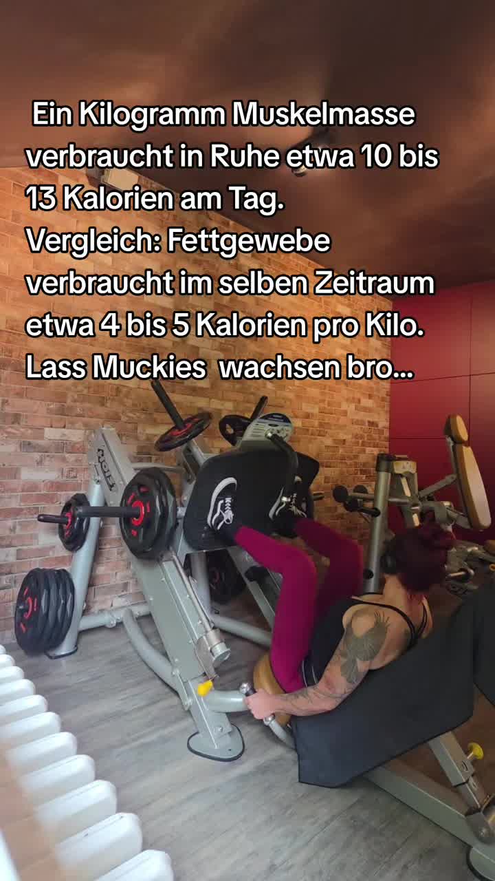 @🐝💪Kati Barbella