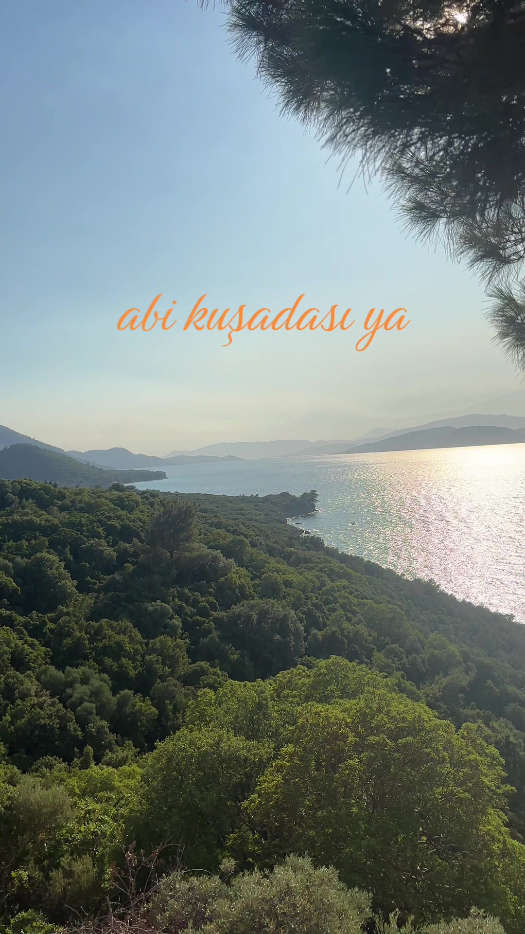 @g&uuml;l