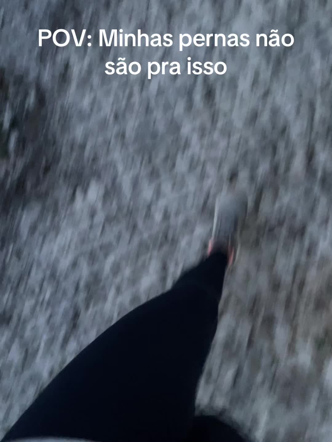 @Mariana Reis