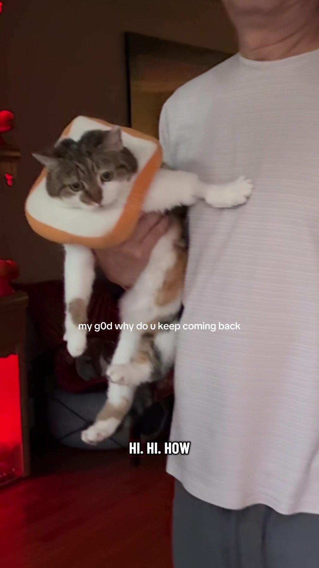 @Suki Purrs