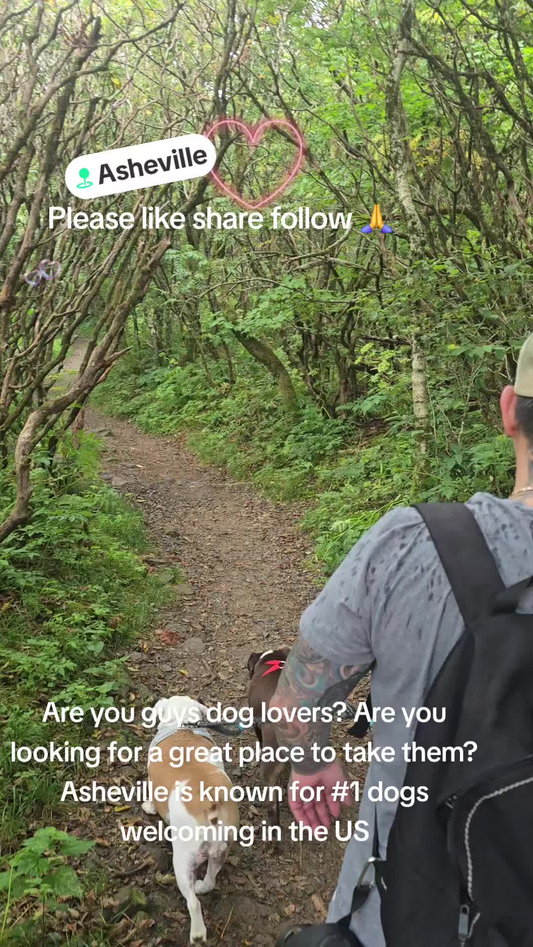 @TQ