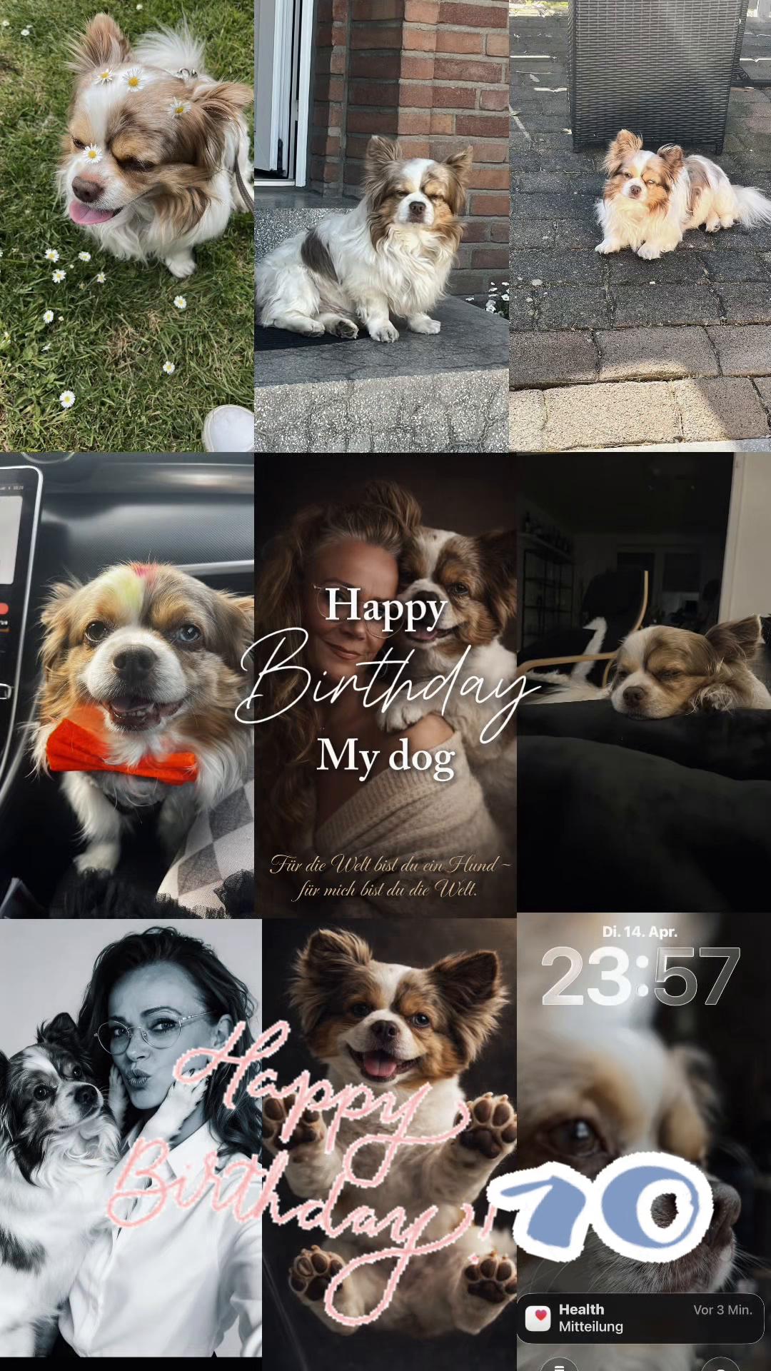 @Nicole69✨🐶