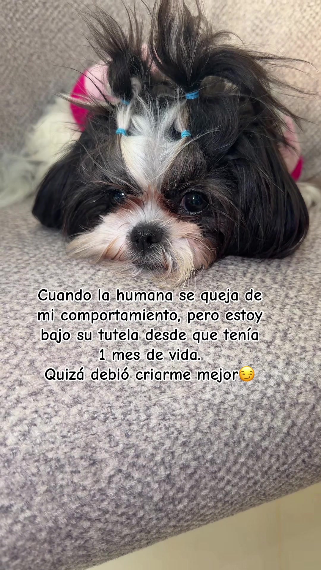 @Sahira plascencia