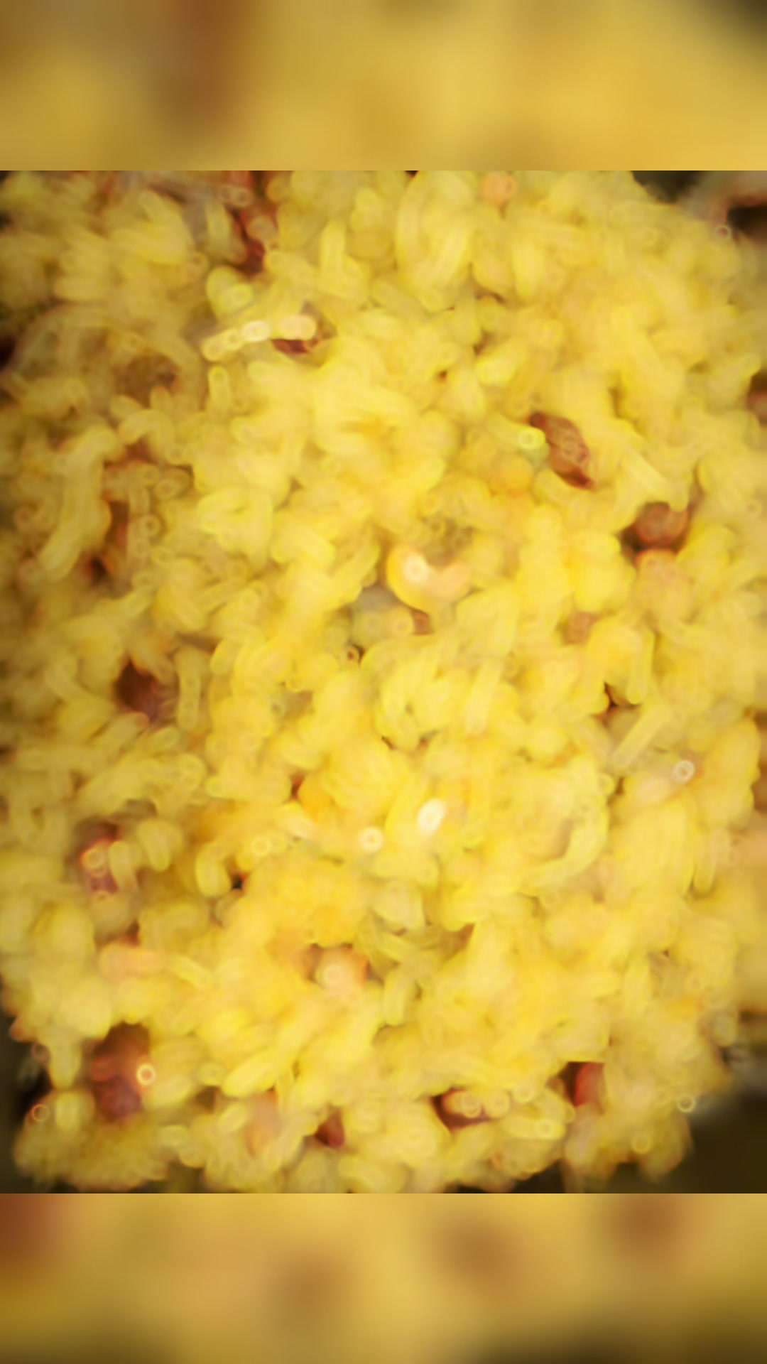 @Sattvik Indian dhaba