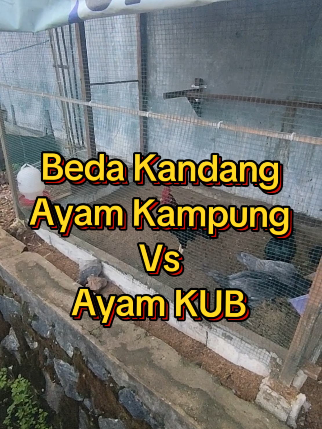 @Prasetya