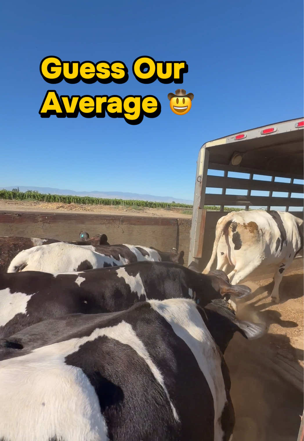@Skylar Farming