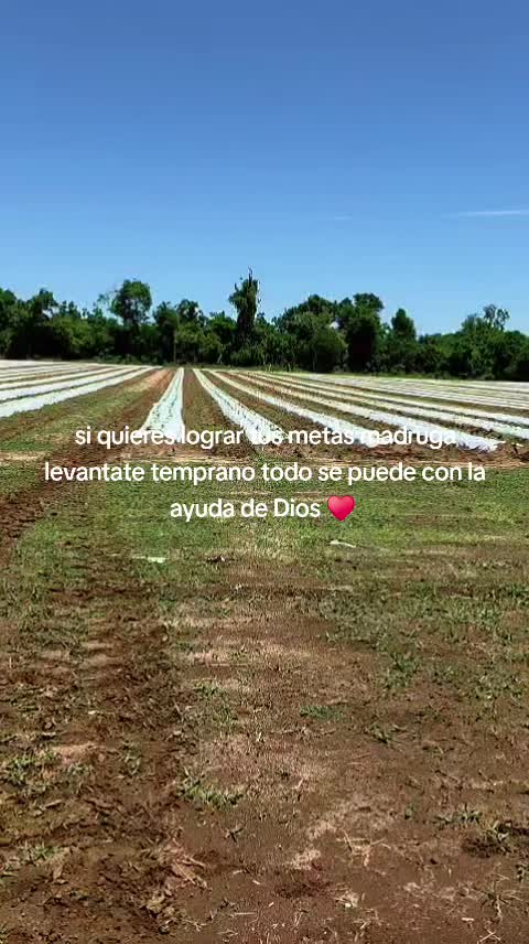 @flory502🇬🇹🇺🇸